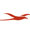 Air Mauritius