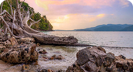 Andaman 03 Nights