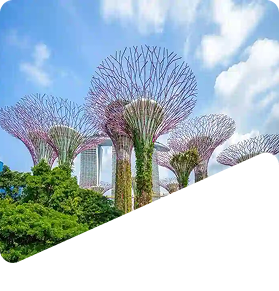 Singapore 03 Nights